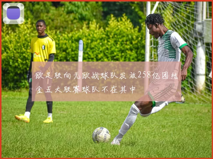 欧足联向无欧战球队发放258亿团结金五大联赛球队不在其中