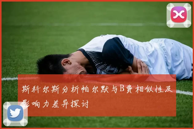 斯科尔斯分析帕尔默与B费相似性及影响力差异探讨