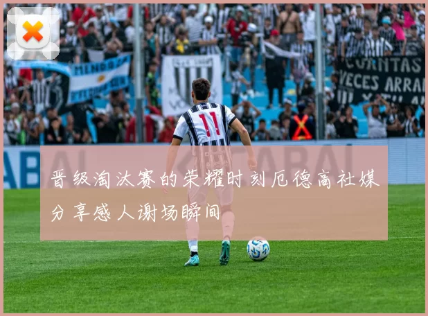 晋级淘汰赛的荣耀时刻厄德高社媒分享感人谢场瞬间