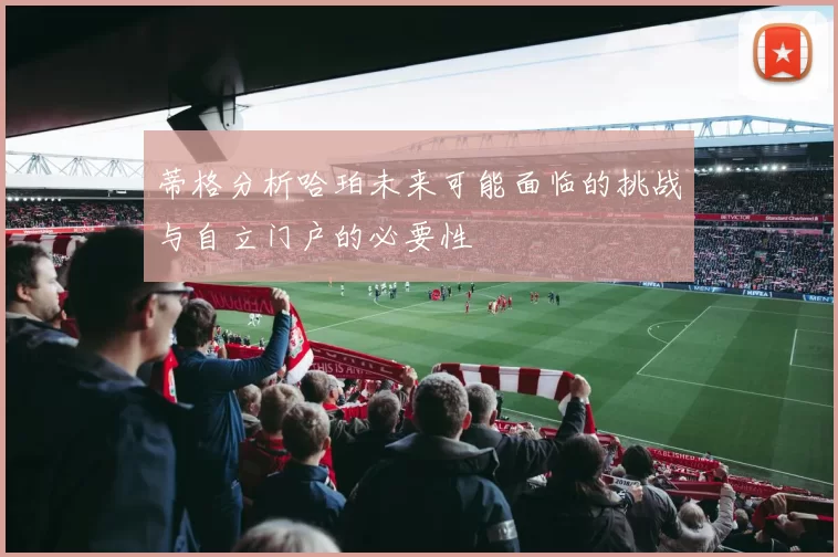 蒂格分析哈珀未来可能面临的挑战与自立门户的必要性