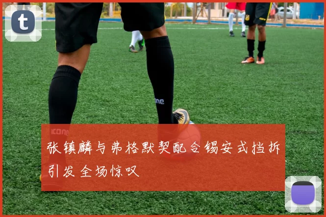 张镇麟与弗格默契配合锡安式挡拆引发全场惊叹